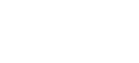 Logo of Burgex Mining Consultants