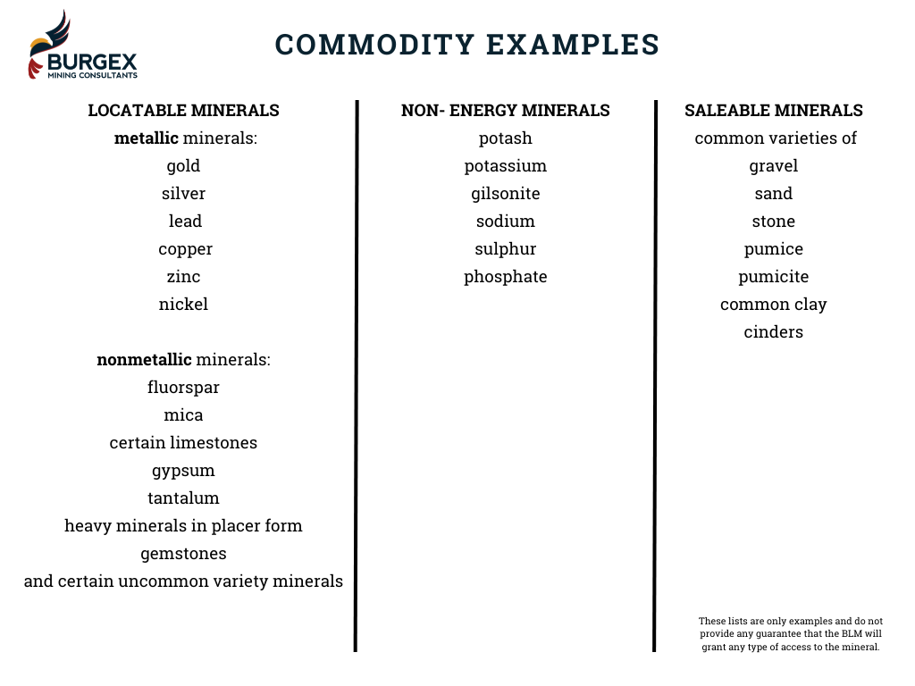 commodity examples